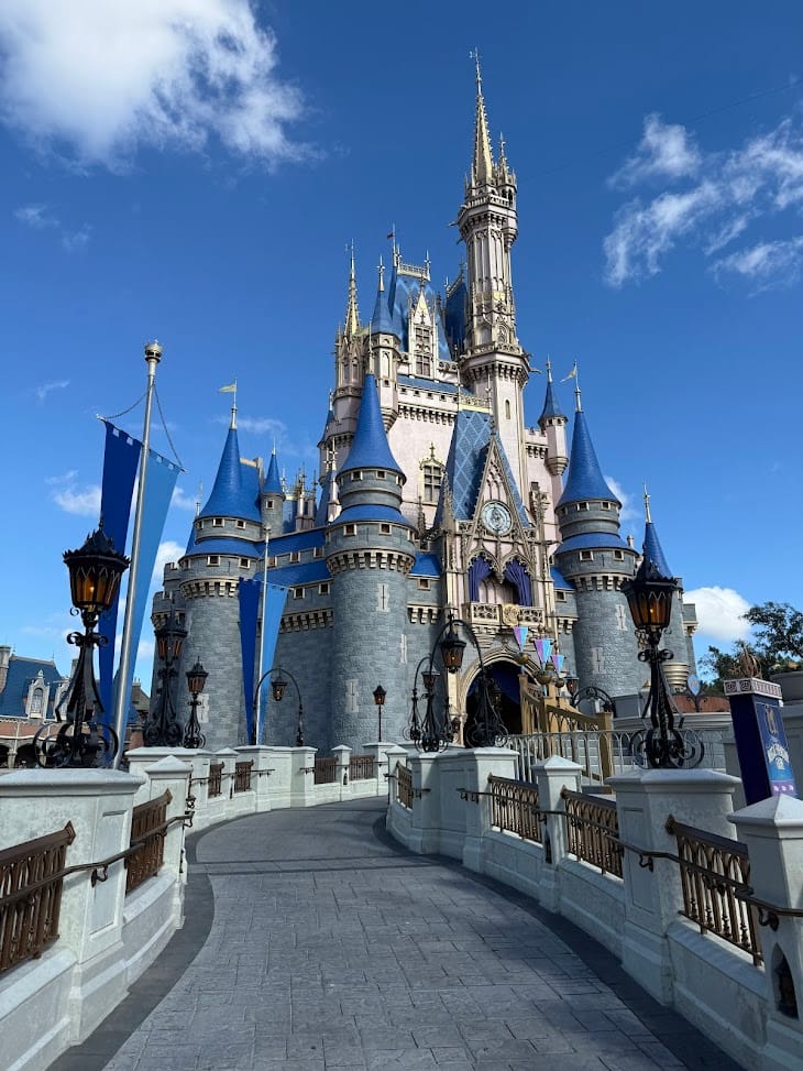 Your Guide to Disney this February