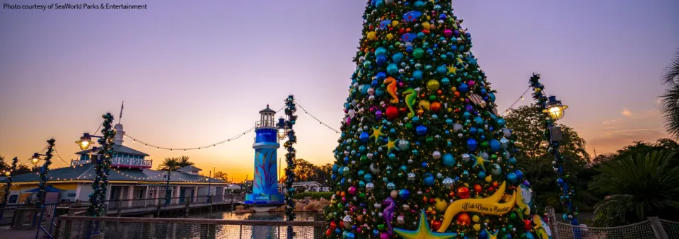 The Sights, Sounds and Flavors of the Holiday Season Return During SeaWorld's Christmas Celebration
