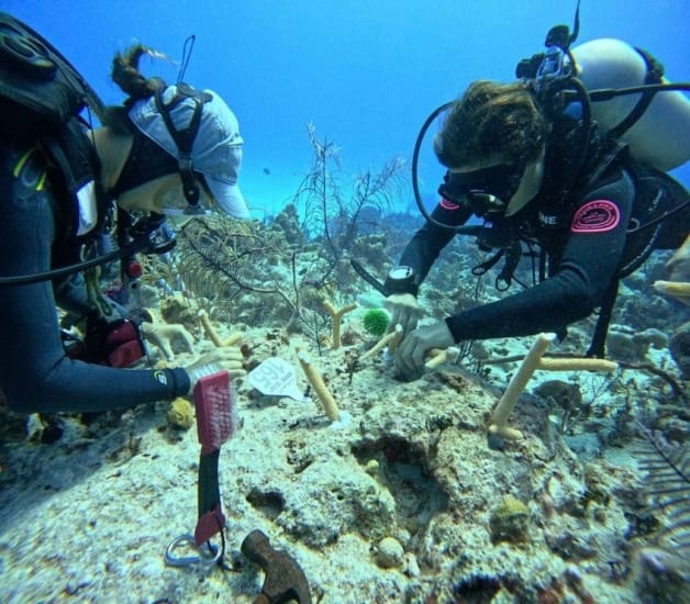 Club Med reveals new environmental conservation programs and initiatives!